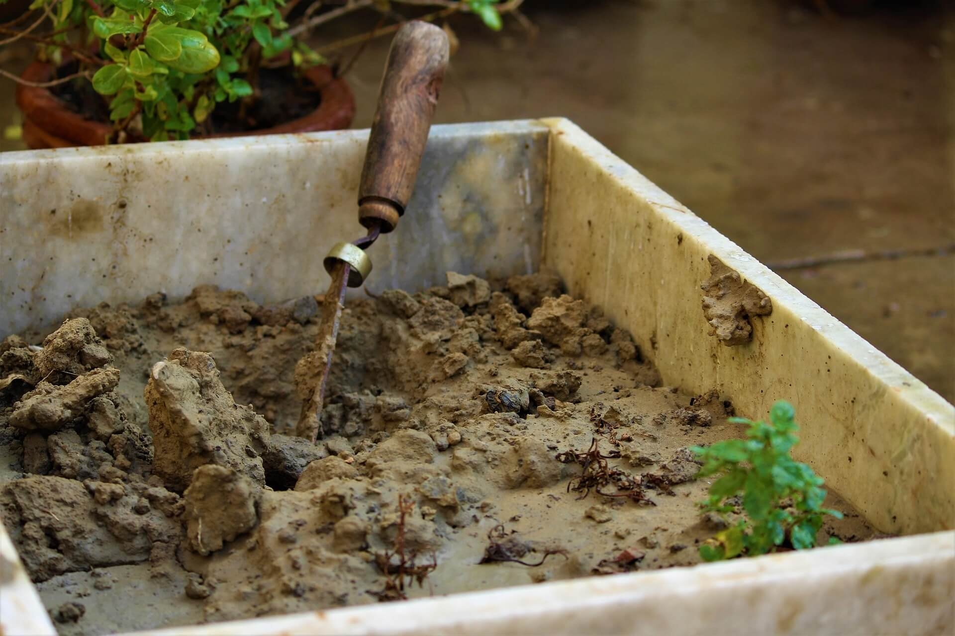 인위적 조성 없이 회복된 초소형 생태계의 자생력 복원 기록 프로젝트
