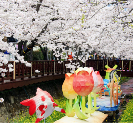 2024 진해 군항제