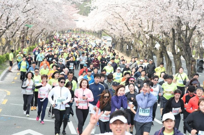 경주벚꽃마라톤대회