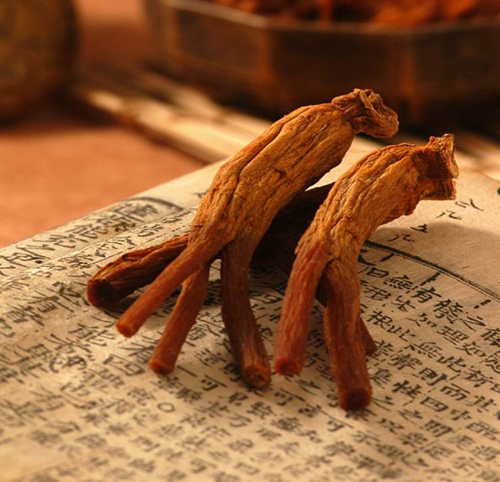 홍삼과 인삼의 차이점, 섭취법, 홍삼의 부작용과 섭취 시 주의사항