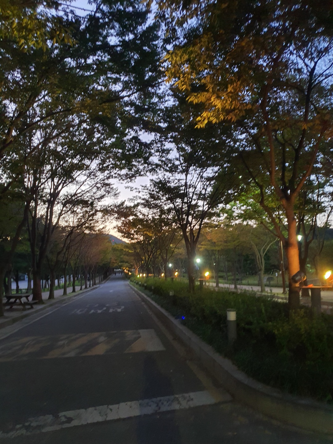 인천대공원