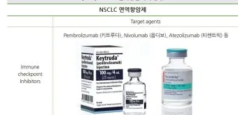 폐암 면역항암제 치료비 절반으로 줄이는 보험 활용 전략으로 실전팁_14