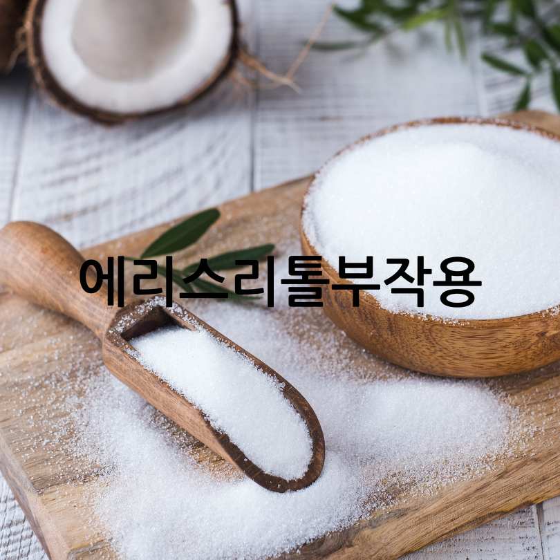 설탕 대신 대체당