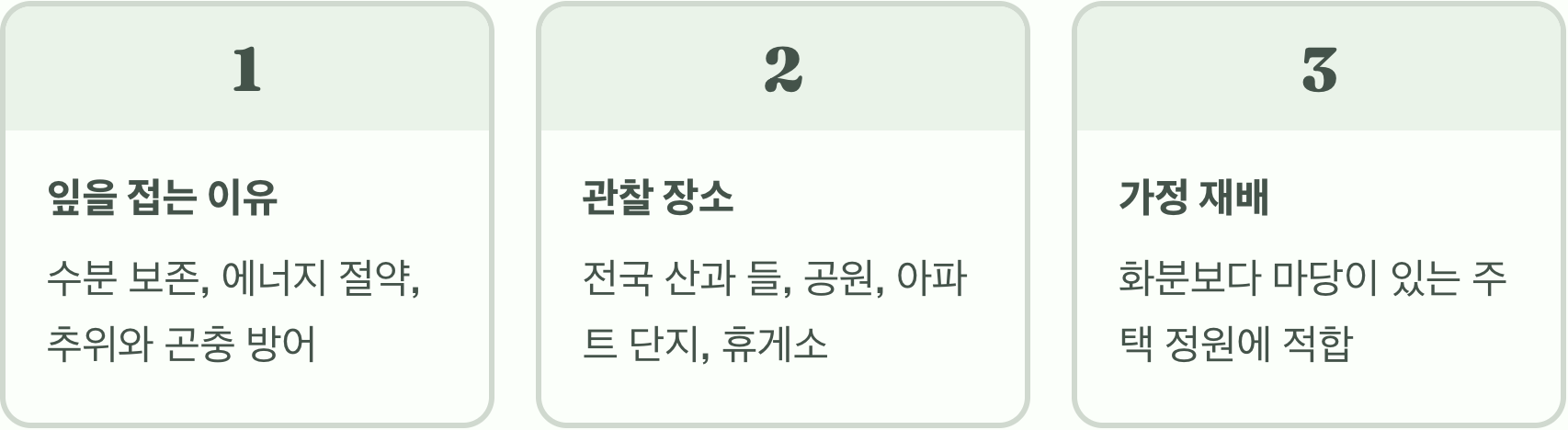 밤이 되면 잎이 잠드는 나무, 자귀나무의 모든 것