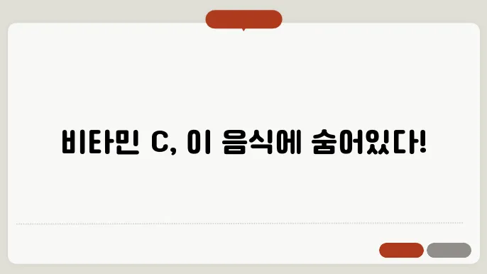 비타민 c 많은 음식