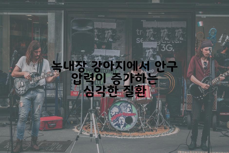 녹내장 강아지에서 안구 압력이 증가하는 심각한 질환