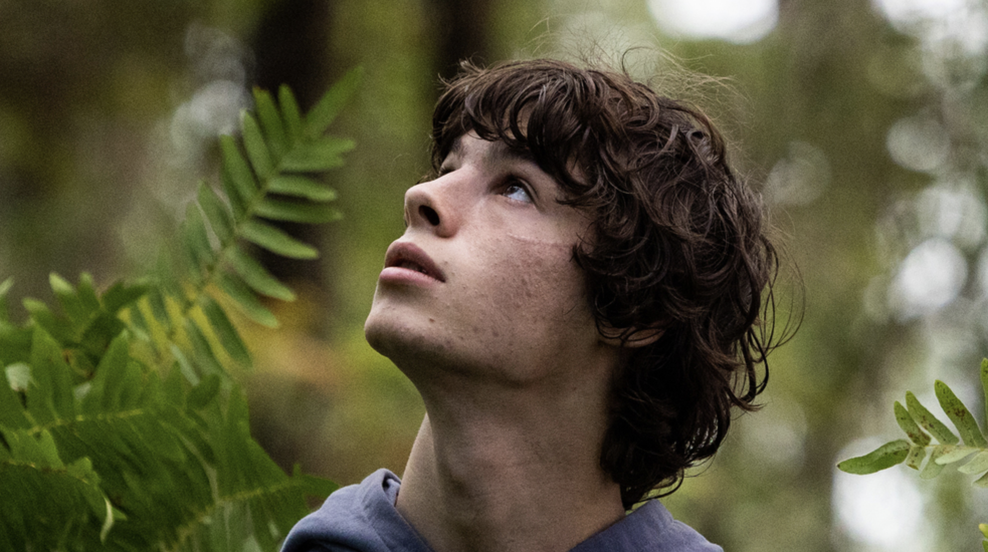 애니멀 킹덤 관람평 포토