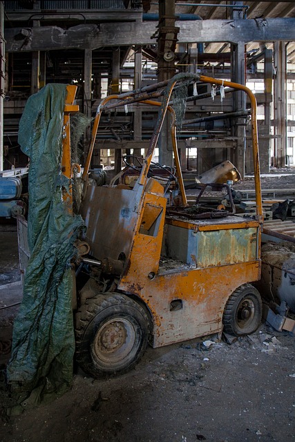 지게차 면허 따기