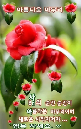 한여름 인사말 예시 모음 카톡_28