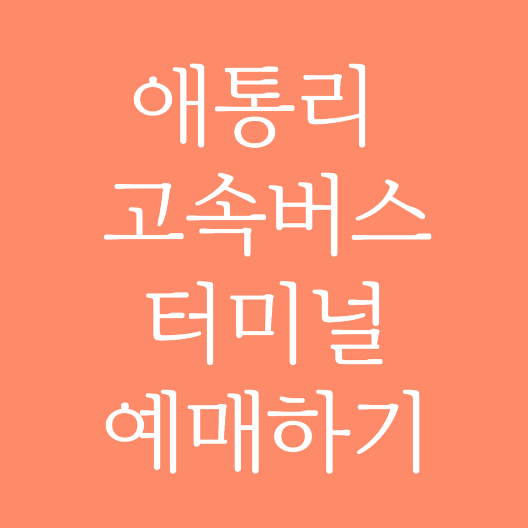 애통리 고속버스터미널 시간표 조회 및 예매하기