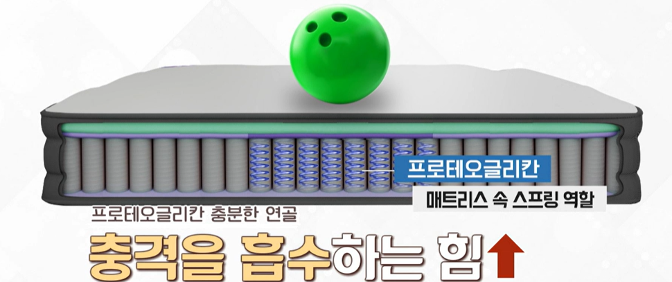 프로테오글리칸 효능