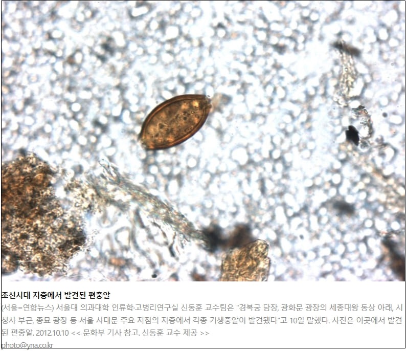 [#K-화장실] "대한민국 공중 화장실 vs 선진국 공중 화장실"