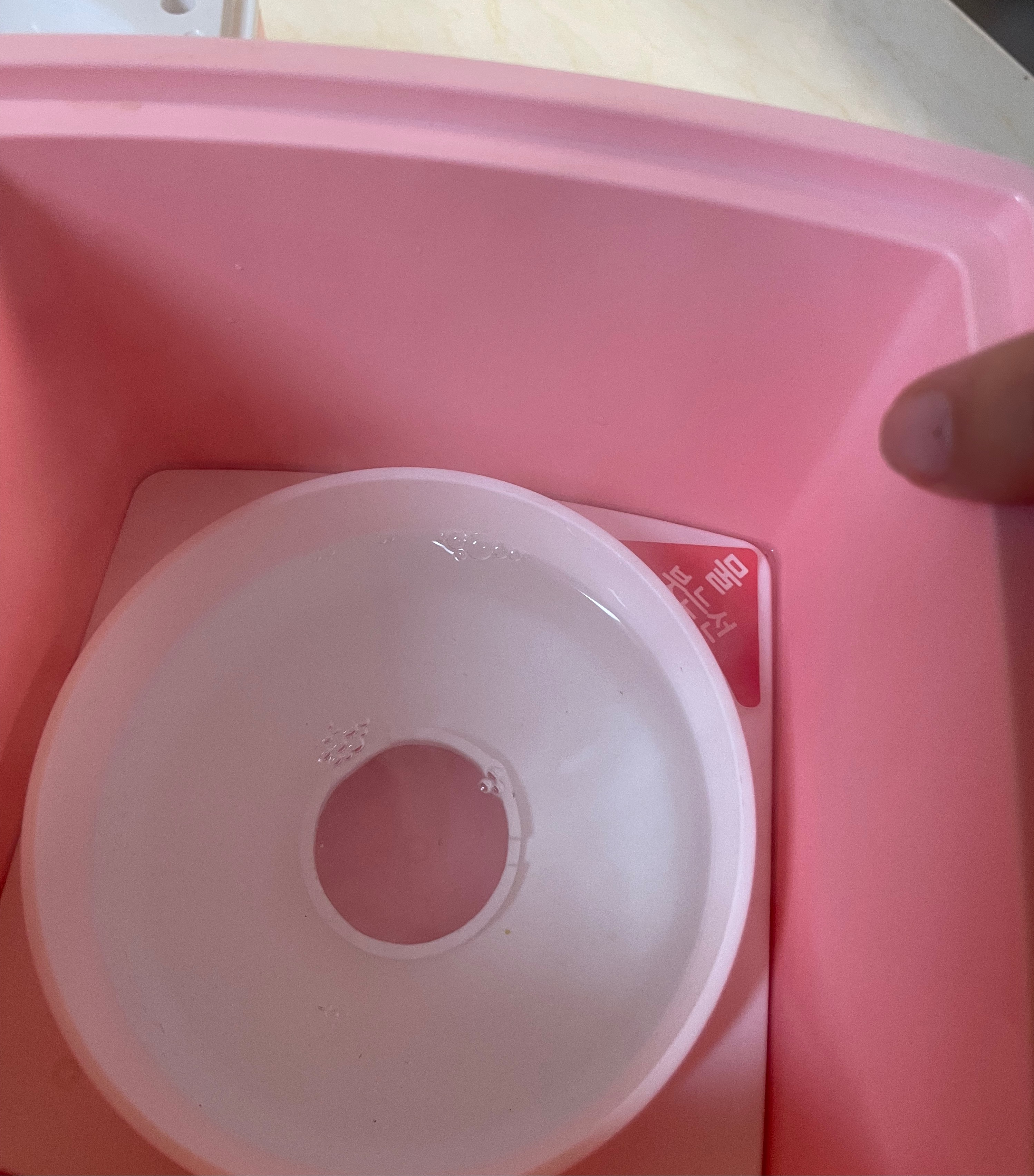 홈메이트 요거트 만들기 (리얼카스피 그릭요거트 스타터)