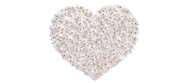 MMPI-2 검사로 분석한 자기애: 건강한 자기애와 위험한 자기애 차이