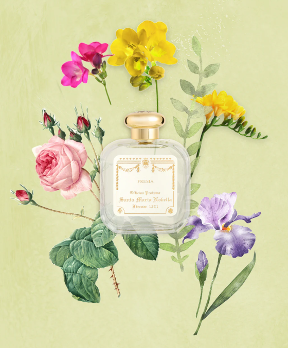 산타마리아노벨라 이미지