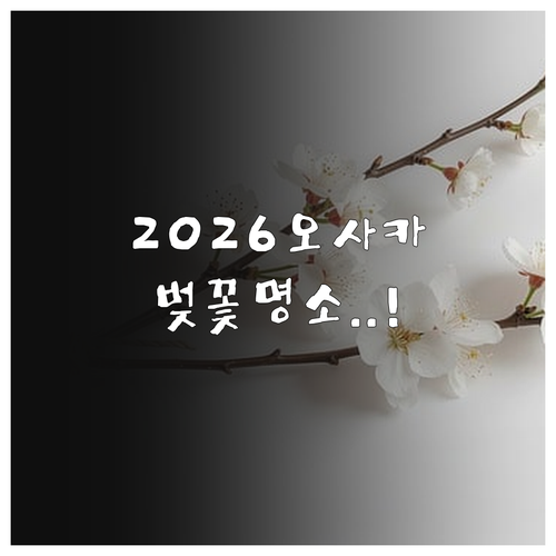 오사카 벚꽃 명소별 특징과 2026년..