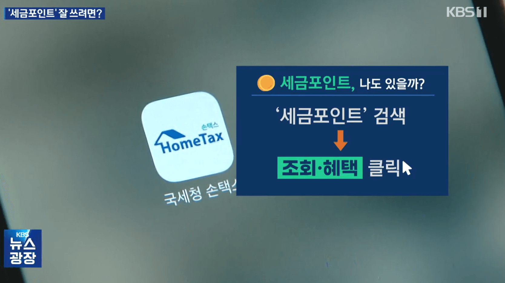 세금포인트 조회