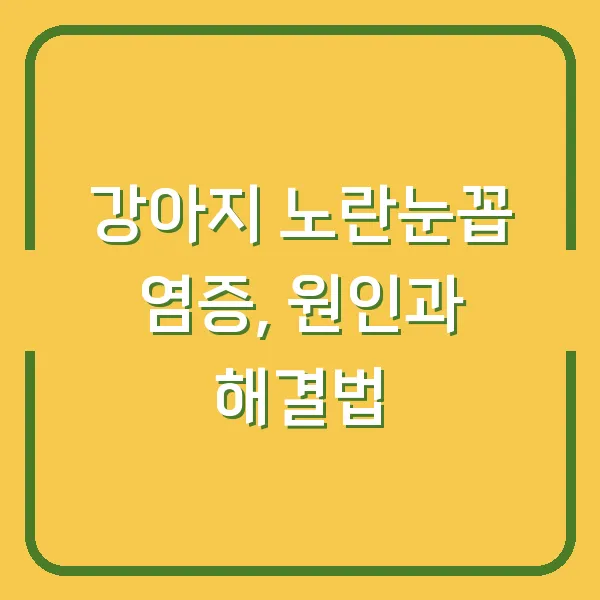 강아지 노란눈꼽 염증, 원인과 해결법