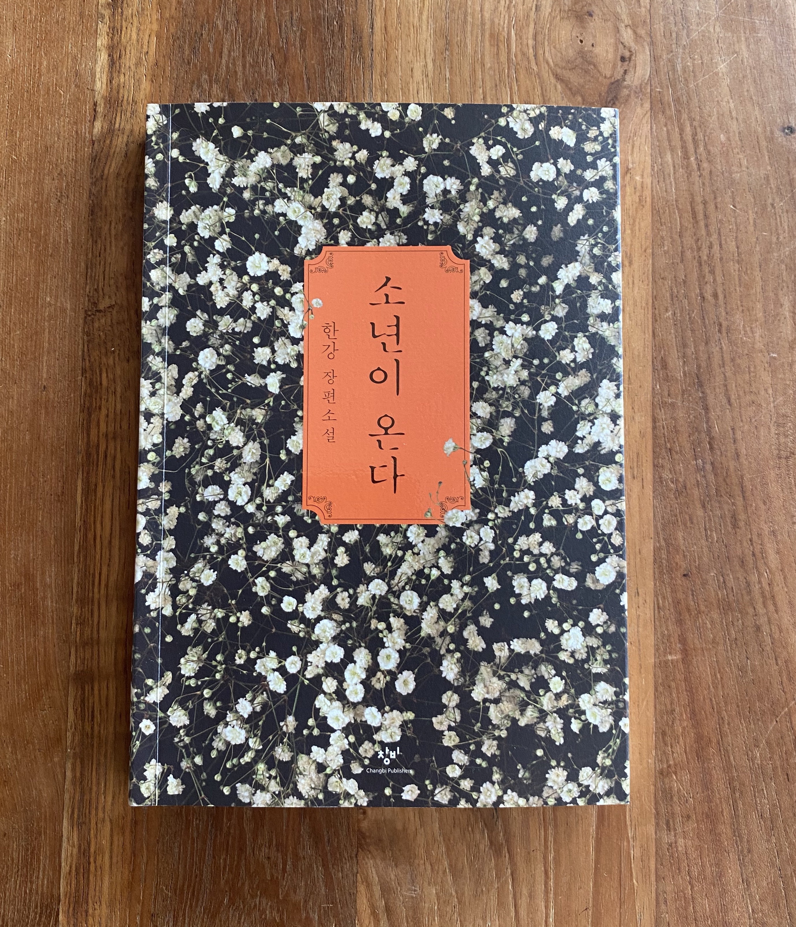 한강 소년이 온다