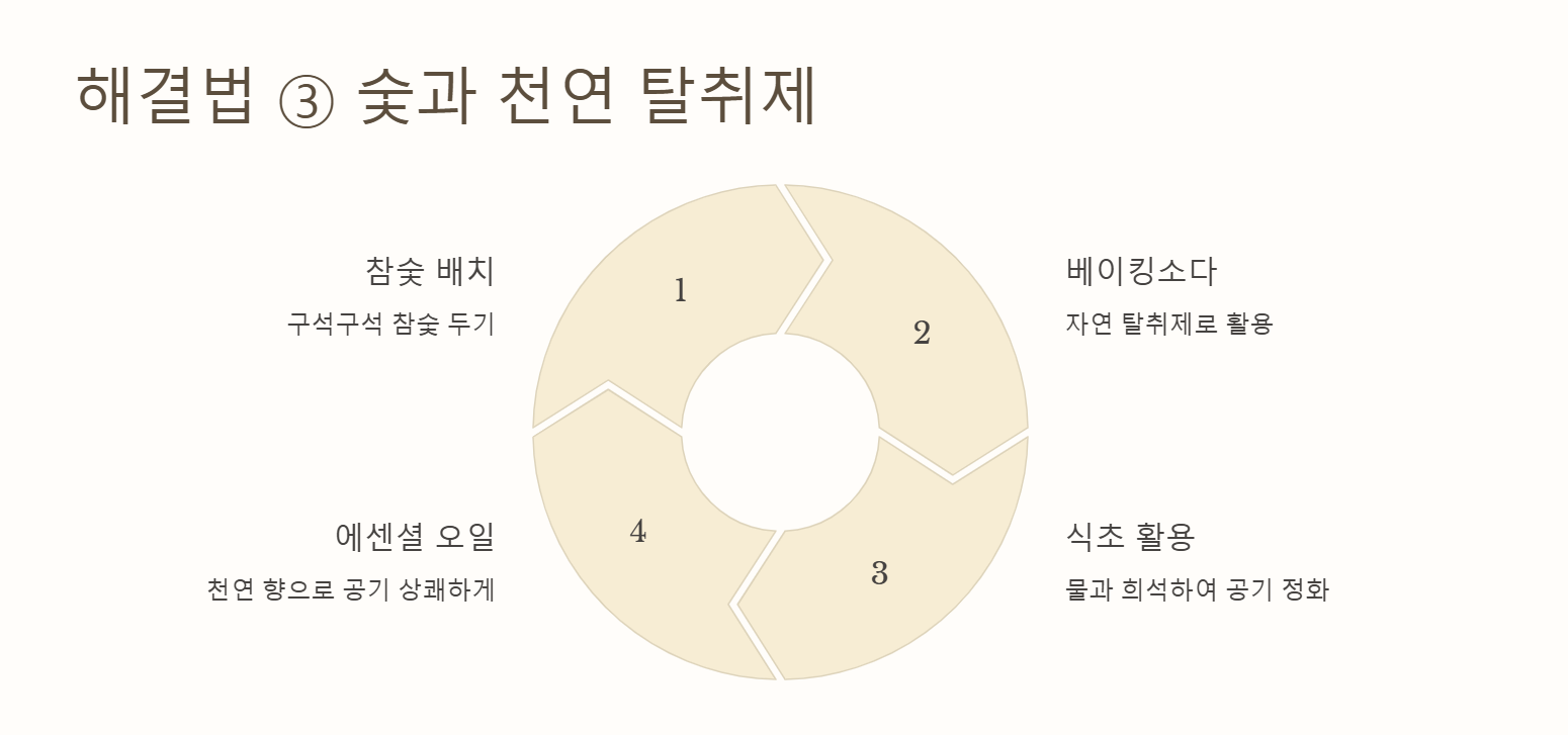 새집증후군 해결법 숯과 천연 탈취제