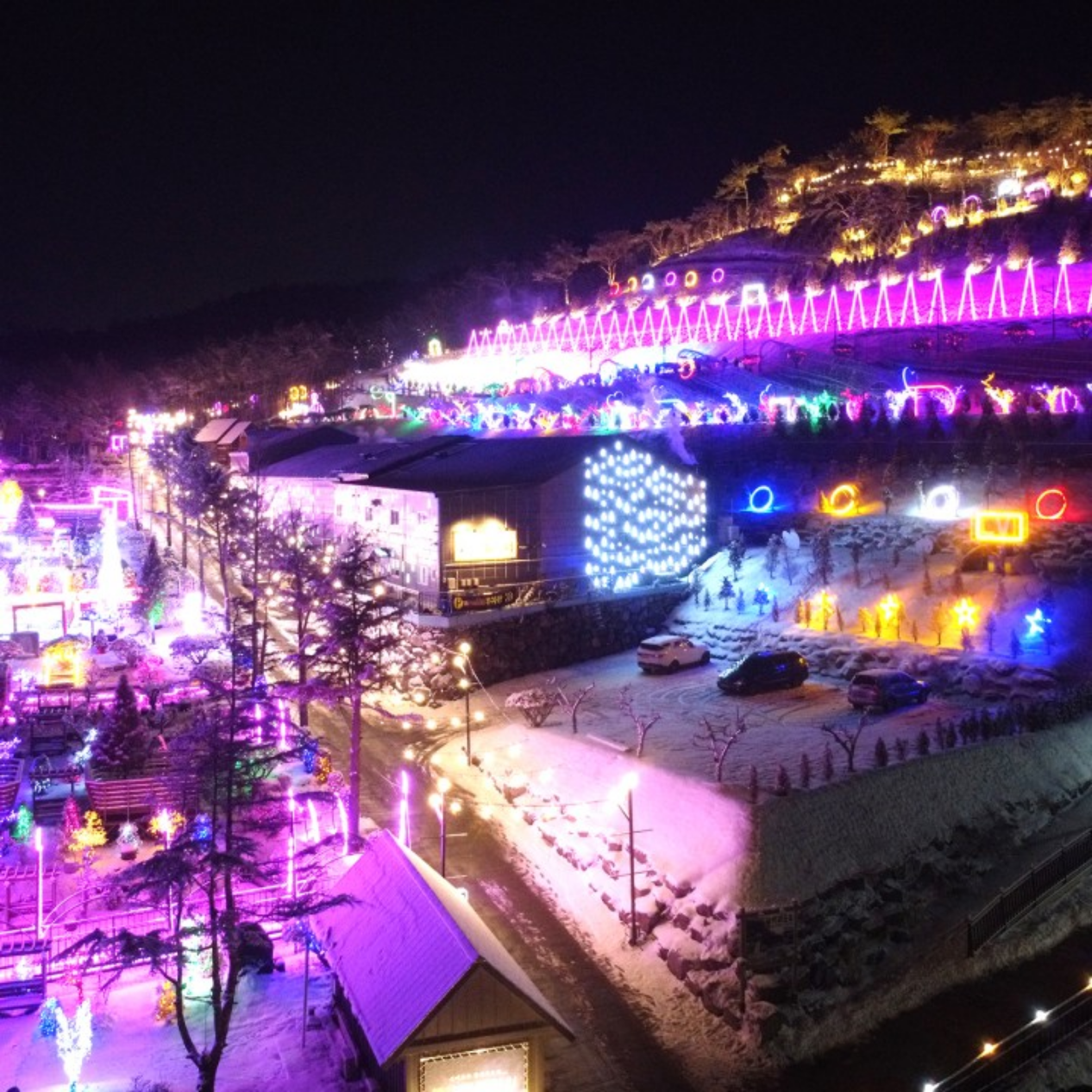 숲속애-빛의정원-전경