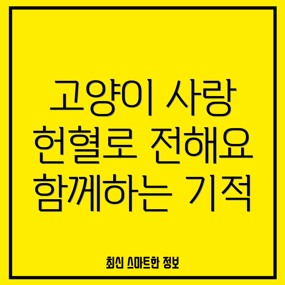고양이 헌혈 프로그램
