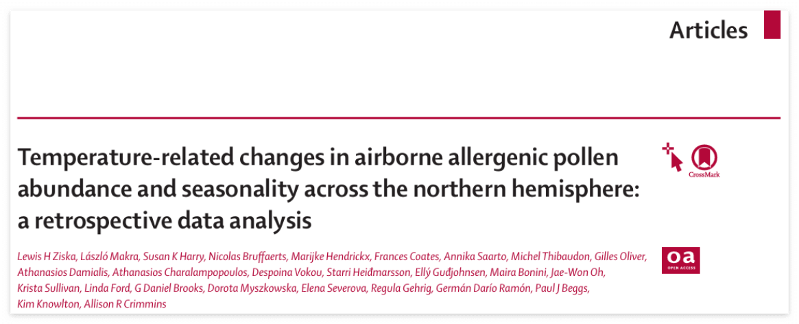 기후 변화가 알레르기를 악화시킨다? 과학이 밝힌 꽃가루의 비밀