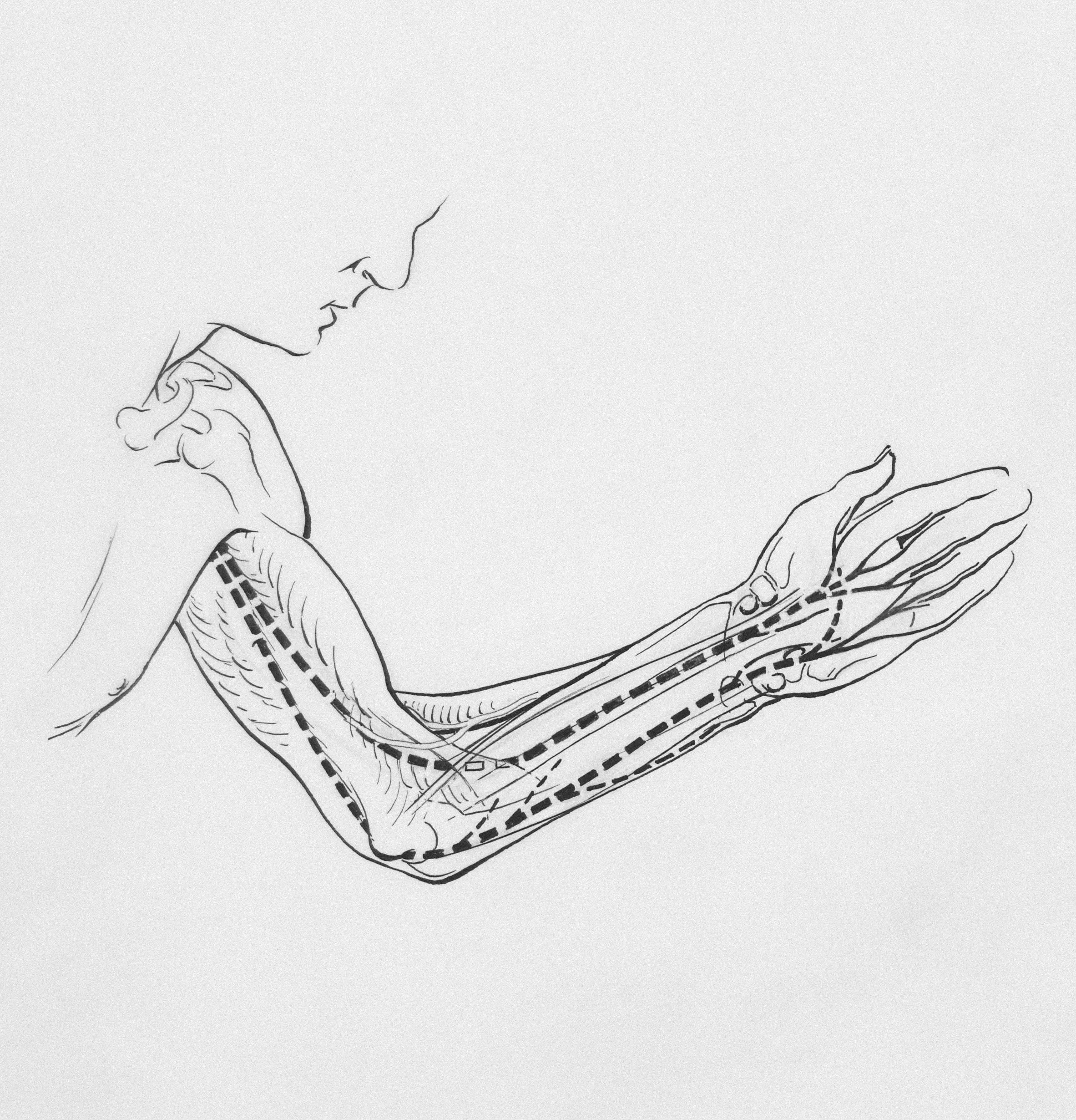 차전자피-효능-복용법-다이어트-후기-장-건강