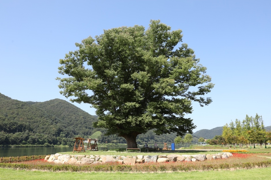 거례리수목공원