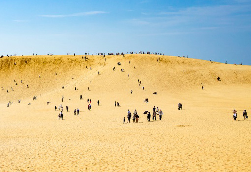 사구