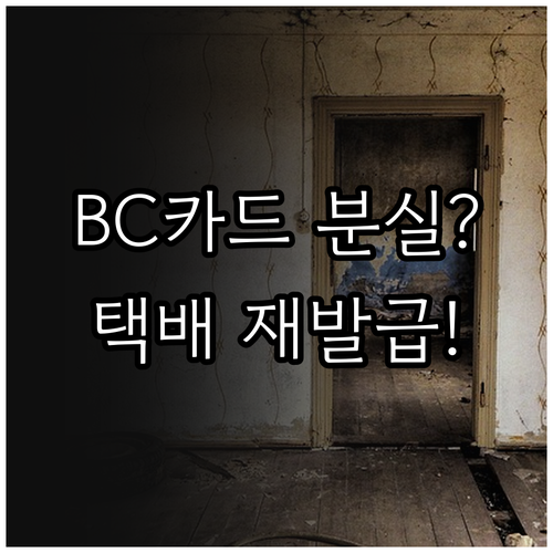 BC카드 분실 신고부터 즉시 재발급 ..