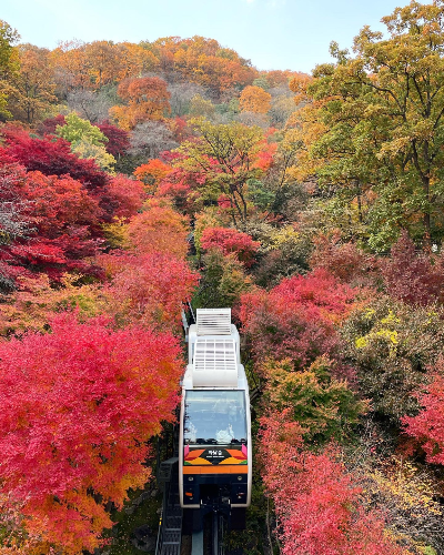 화담숲 사진