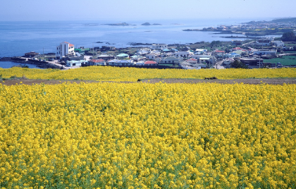 &quot;살면 살아져&quot; – 절망의 끝에서 건네는 가장 단단한 말