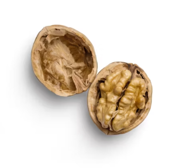 퇴행성 관절염에 좋은 음식 영양제 식단