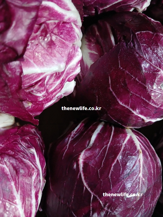 따뜻한 물에 씻어 쓴맛을 줄이고 아삭한 식감을 살린 라디치오 잎 상세 사진