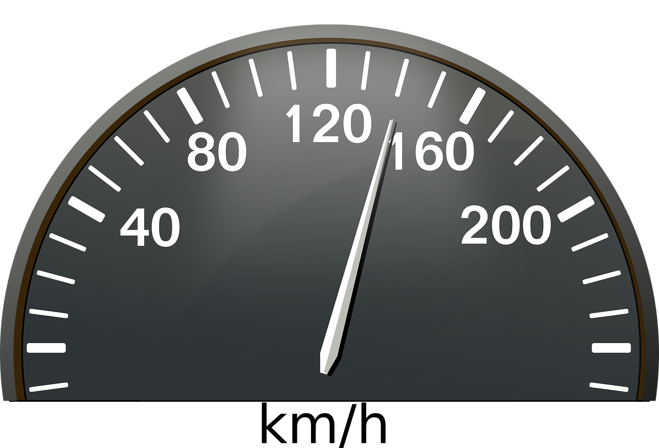 차량번호로 범칙금 과태료 조회