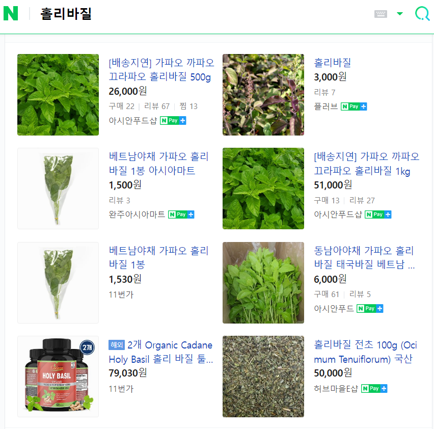 홀리바질