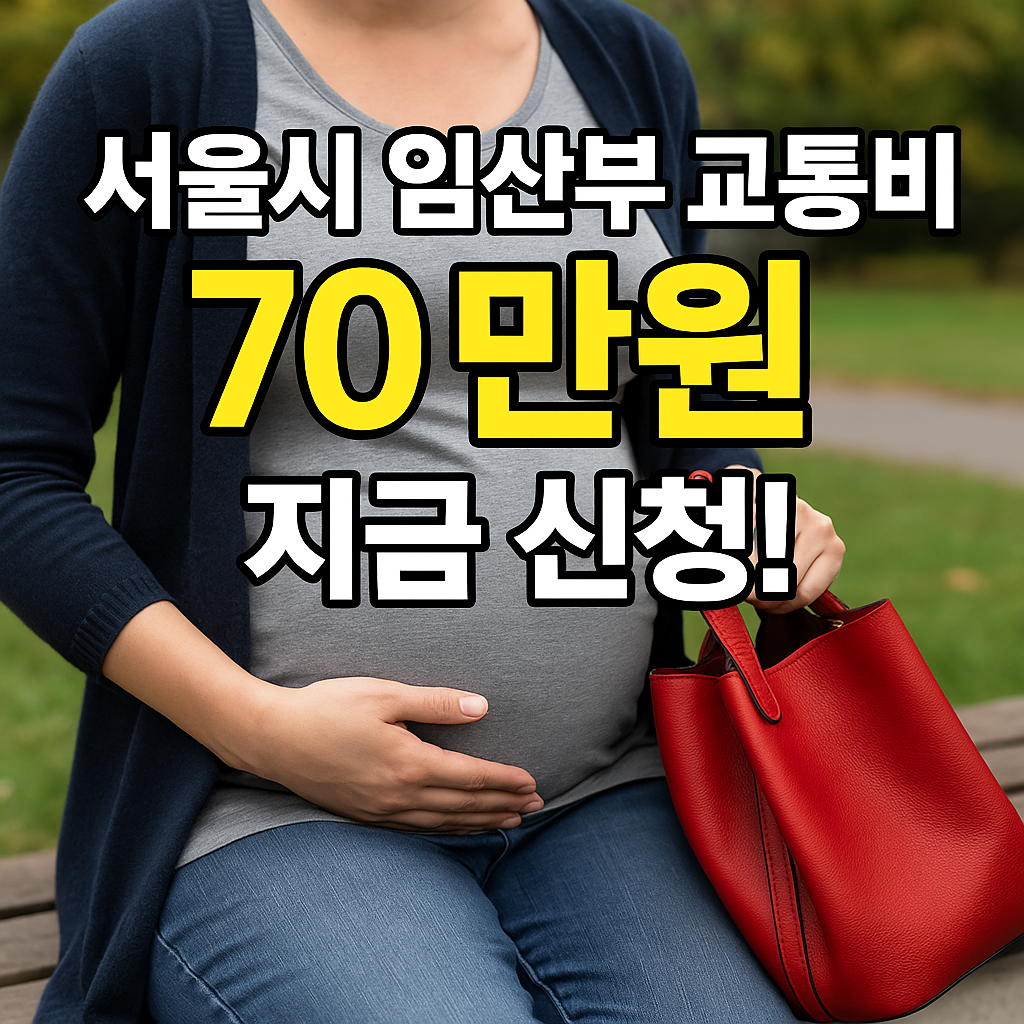 임산부 교통비 지원