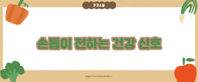 손톱으로 보는 건강상태 (+이상 신호 해석법)
