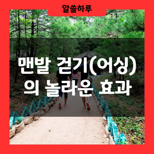 맨발 걷기(어싱)의 놀라운 효과와 용인의 숨겨진 명소