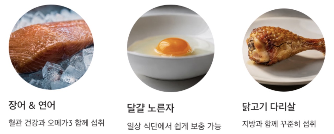 비타민E 많은 음식 동물성 식품