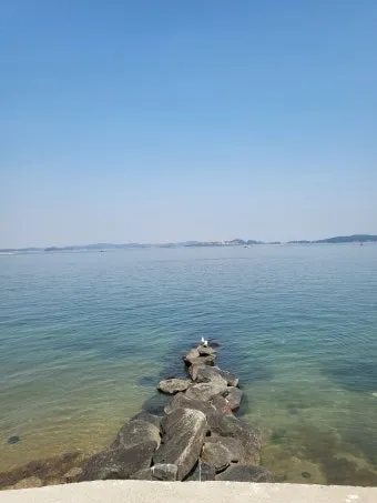 원산도 가볼만한곳 베스트10 명소_16