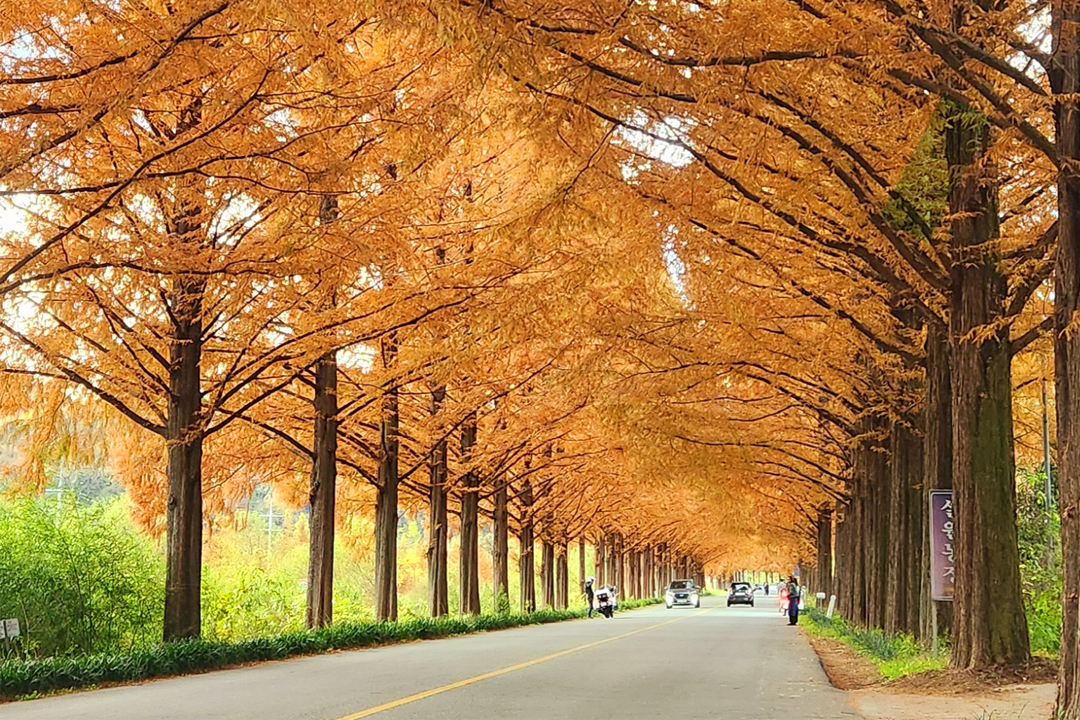 노인 돌봄 생활지원사가 하는일