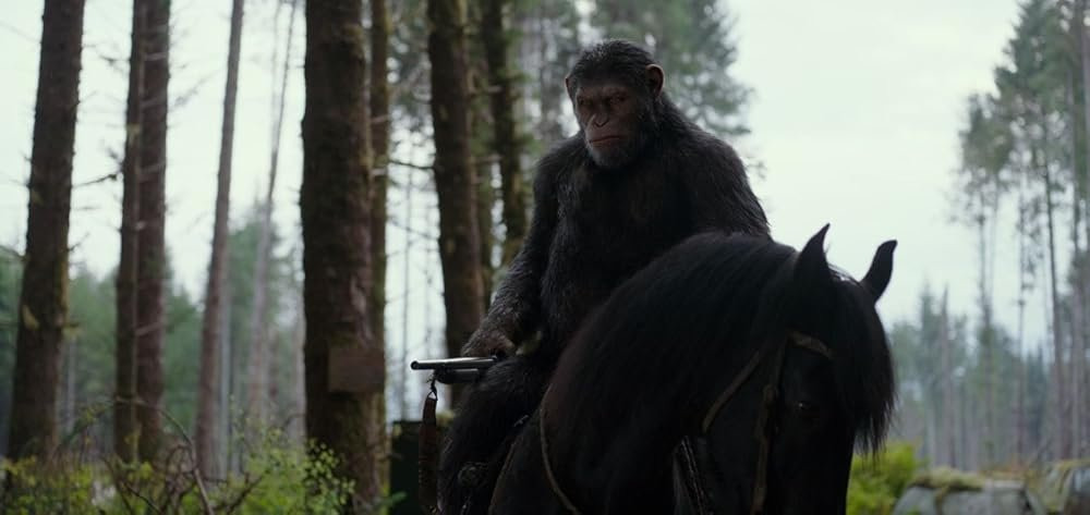 시저의 마지막 리더십