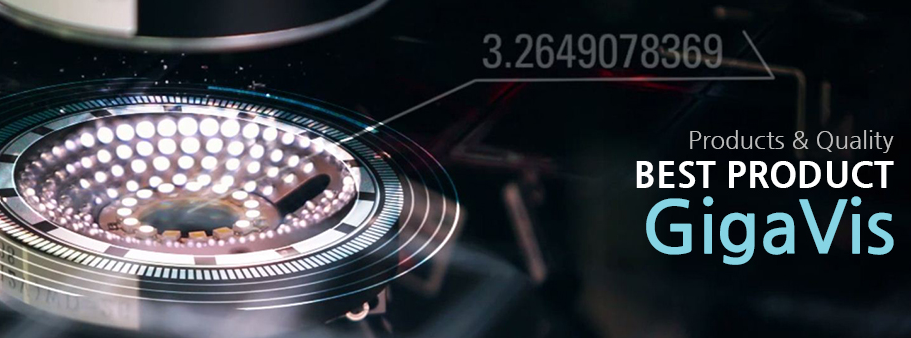 기가비스