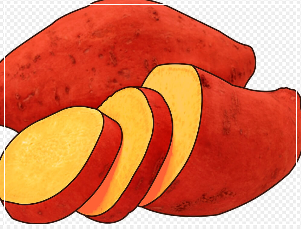 대장내시경 전 먹어도 되는 음식