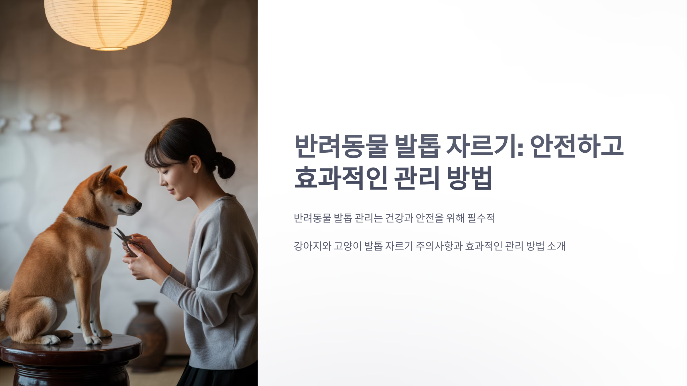 참조-반려동물,-발톱-자를때-유의사항-1