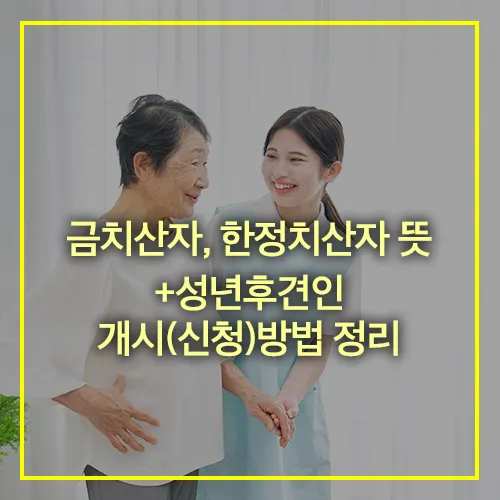 금치산자 한정치산자 뜻 성년후견인 신청방법