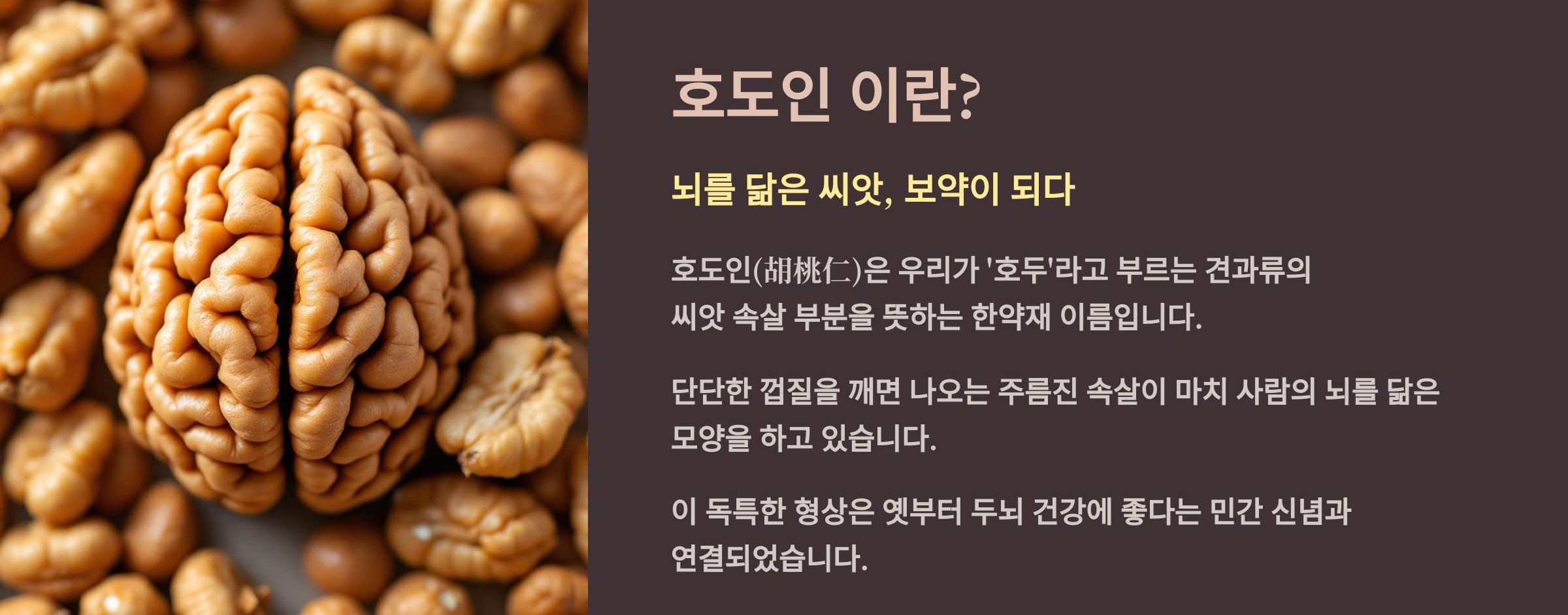 호도인(호두)