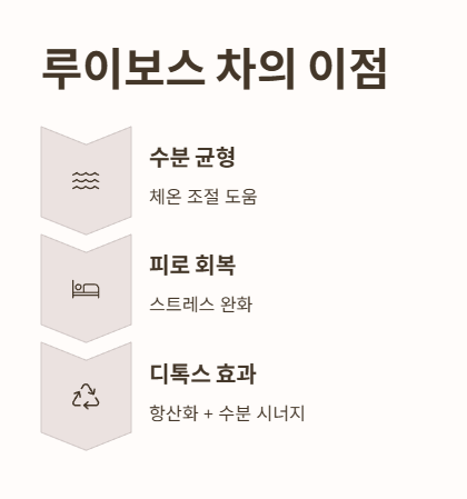 루이보스티차 효능: 루이보스 ‘차’로 마시면 생기는 이점